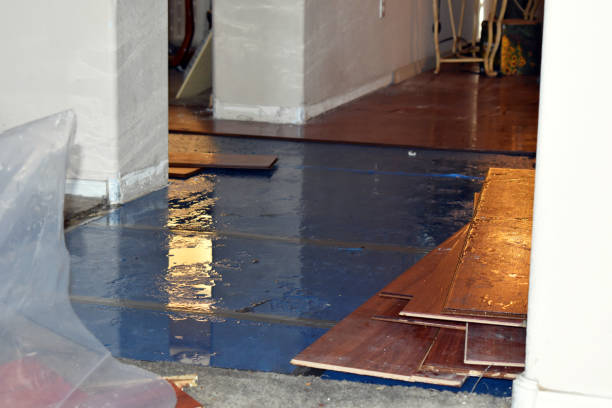 Professional Water Damage Restoration technician working in Mebane, NC